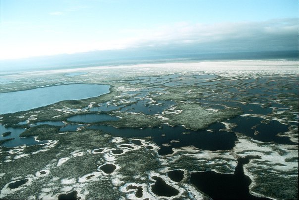 It turns out that in Siberia there is the largest swamp in the world! - Russia, Siberia, Interesting, Swamp, Photo