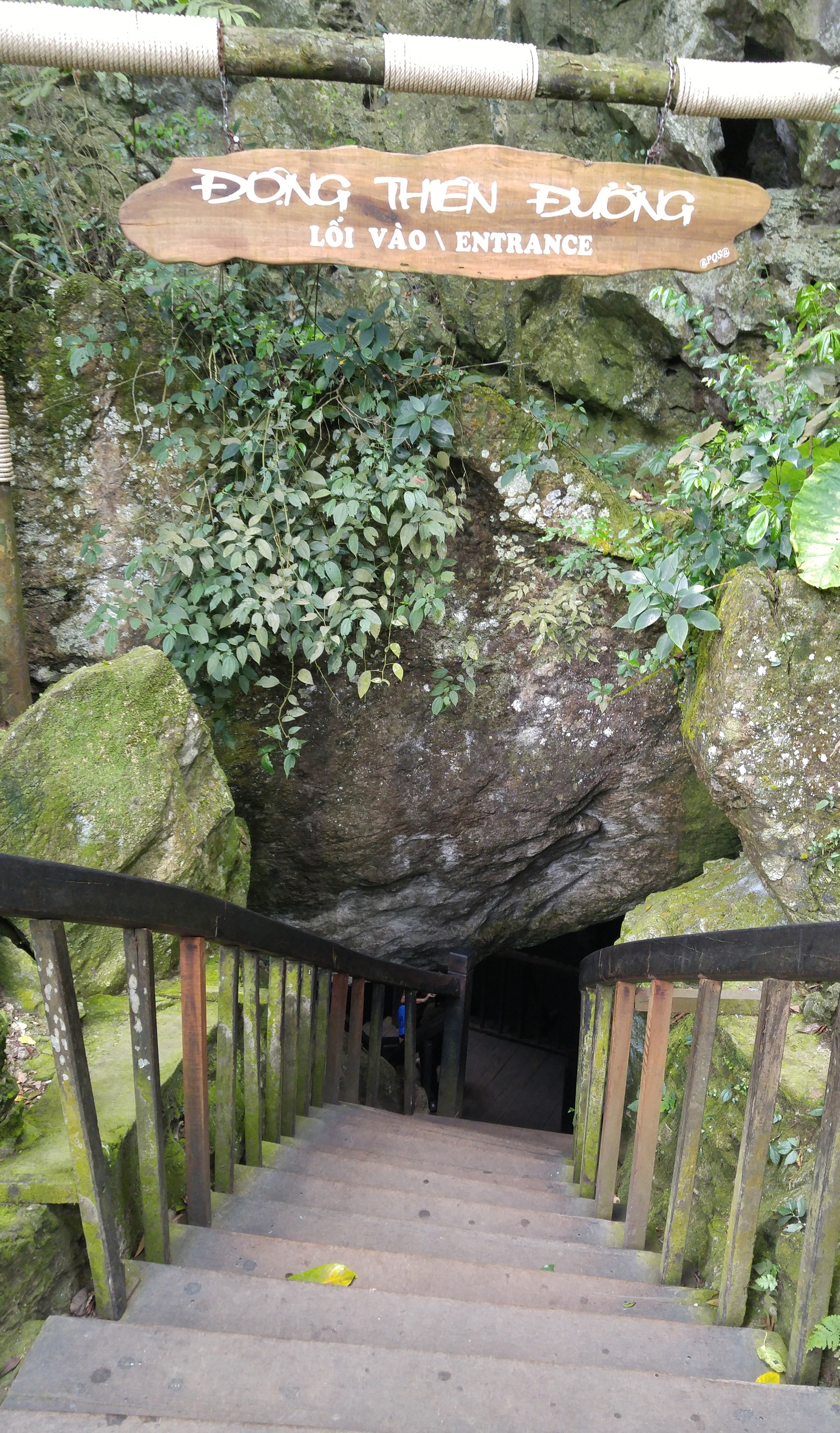 Descent to Paradise Cave - part 1 - My, Caves, Travels, Paradise Cave, Nature, Impressions, Vietnam, Unusual, In the depths of the earth, Video, Longpost