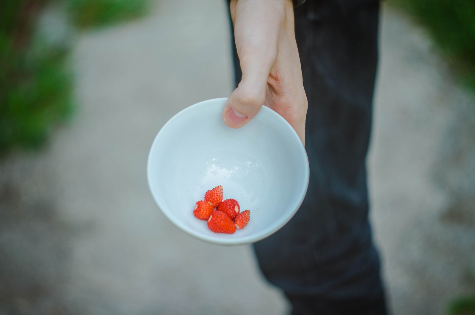 In memory of summer - My, Photo, Flowers, Summer, Strawberry, Longpost, Dacha