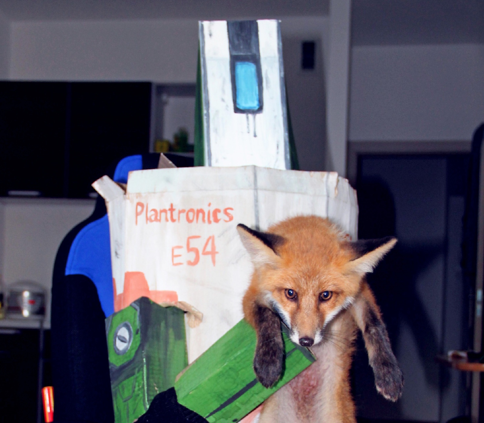 My domestic fox (foxpost) - My, Fox, Domestic fox, Longpost, Many letters