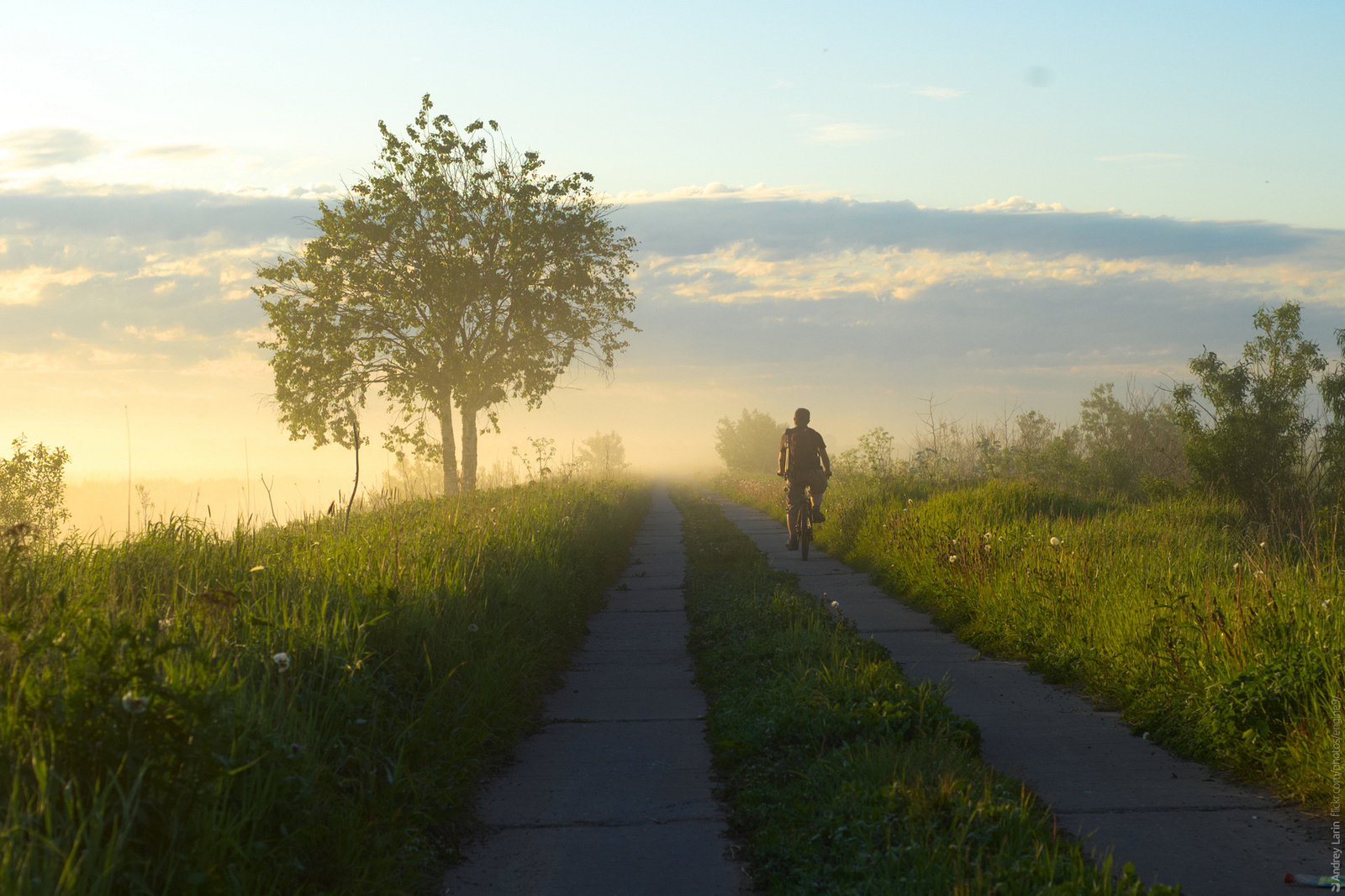 Morning - My, Arkhangelsk, Morning, Summer, Photo, A bike, Tree, Road