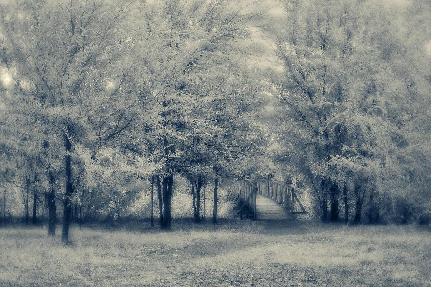 Infrared landscapes shot with a monocle - My, The photo, , Monocle, , Infrared shooting