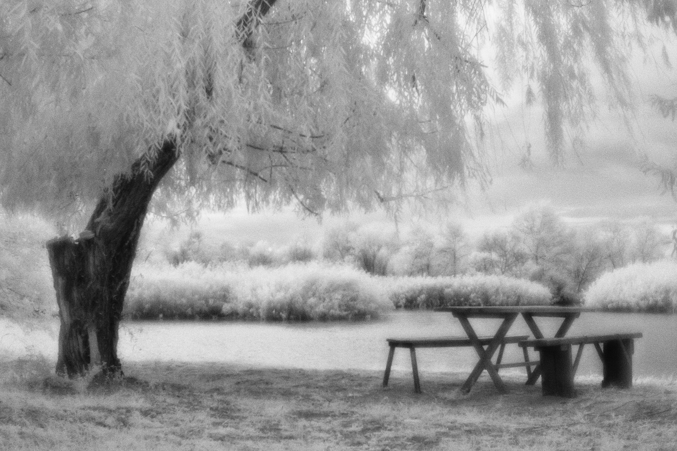 Infrared landscapes shot with a monocle - My, The photo, , Monocle, , Infrared shooting