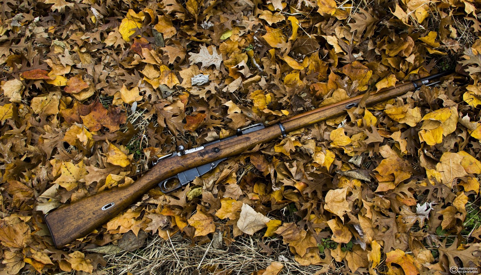 Mosin rifle - Weapon, Mosin rifle, Longpost