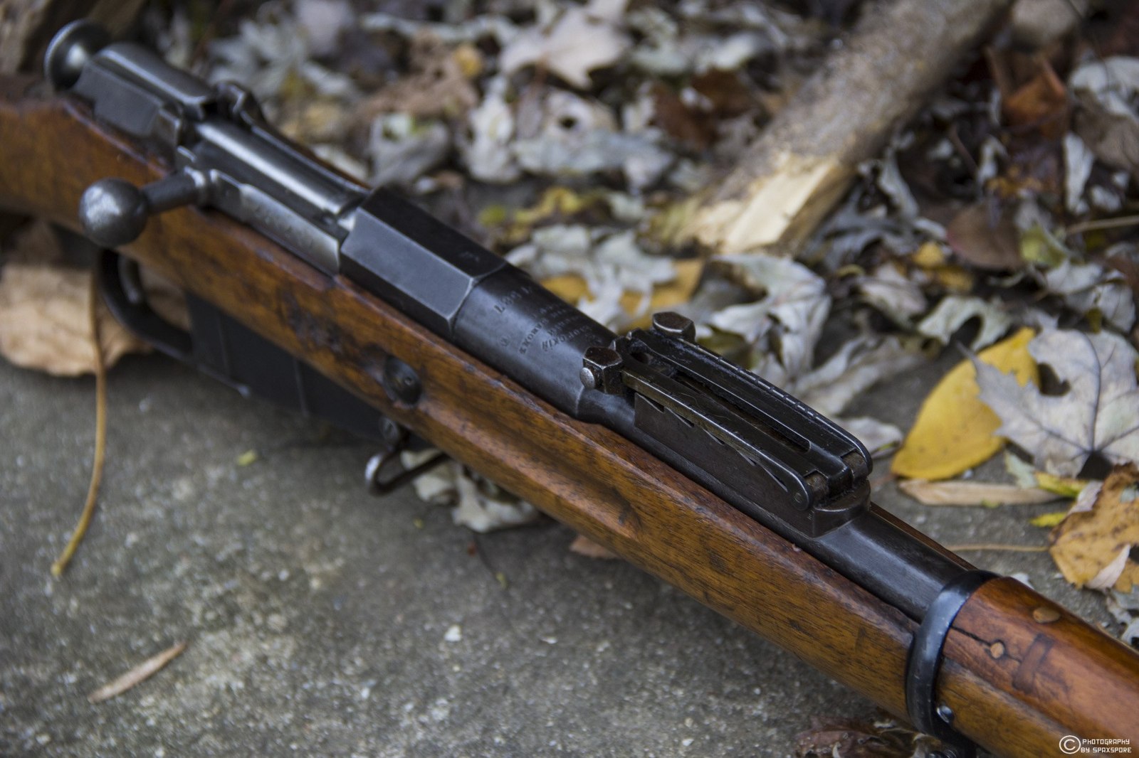 Mosin rifle - Weapon, Mosin rifle, Longpost