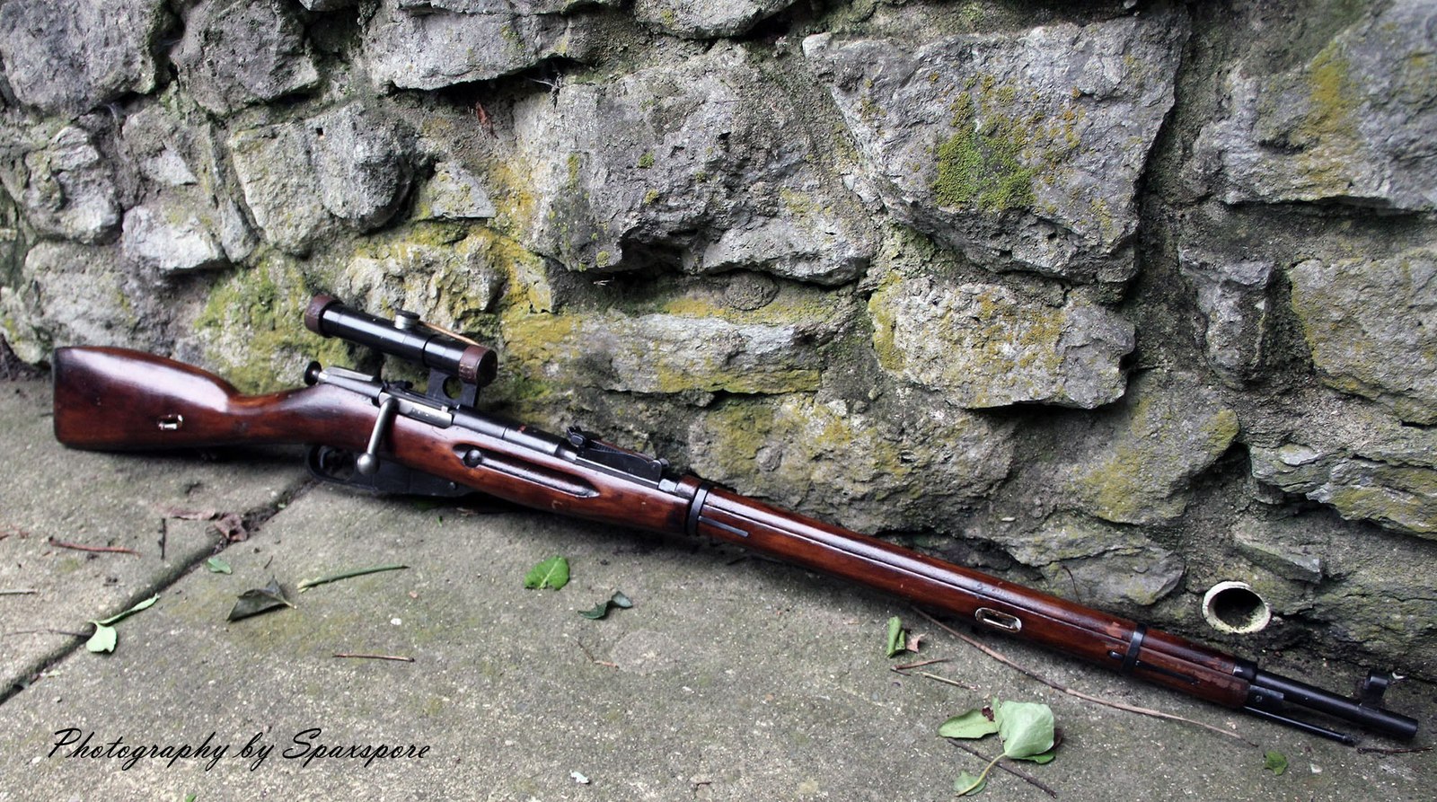 Mosin rifle - Weapon, Mosin rifle, Longpost