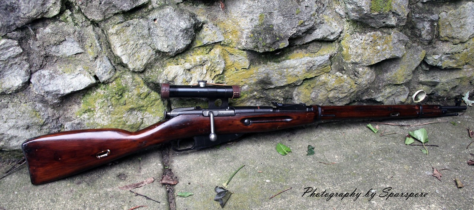 Mosin rifle - Weapon, Mosin rifle, Longpost