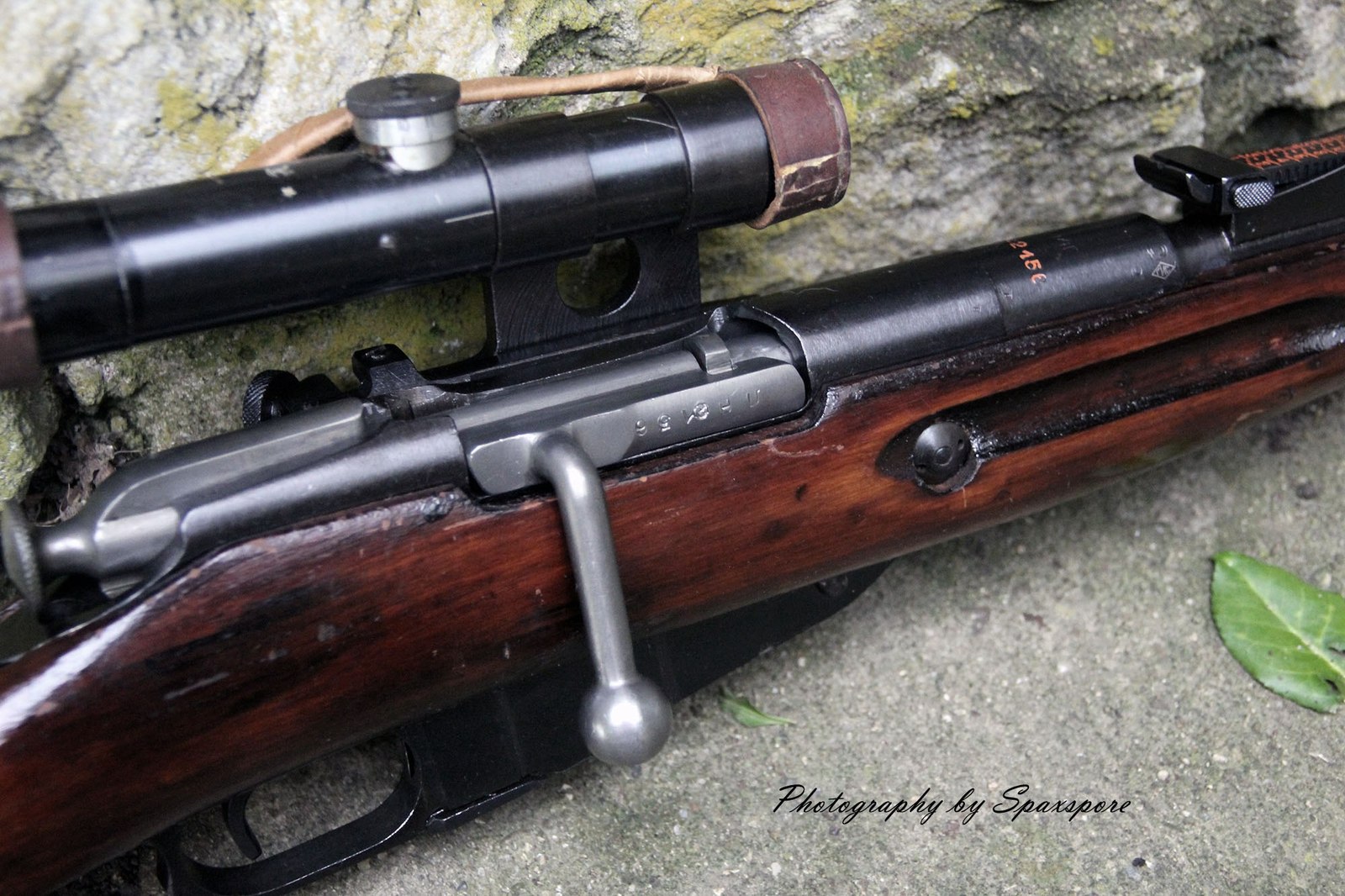 Mosin rifle - Weapon, Mosin rifle, Longpost