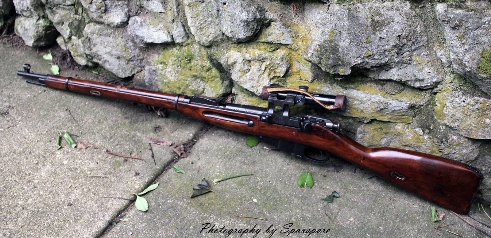 Mosin rifle - Weapon, Mosin rifle, Longpost