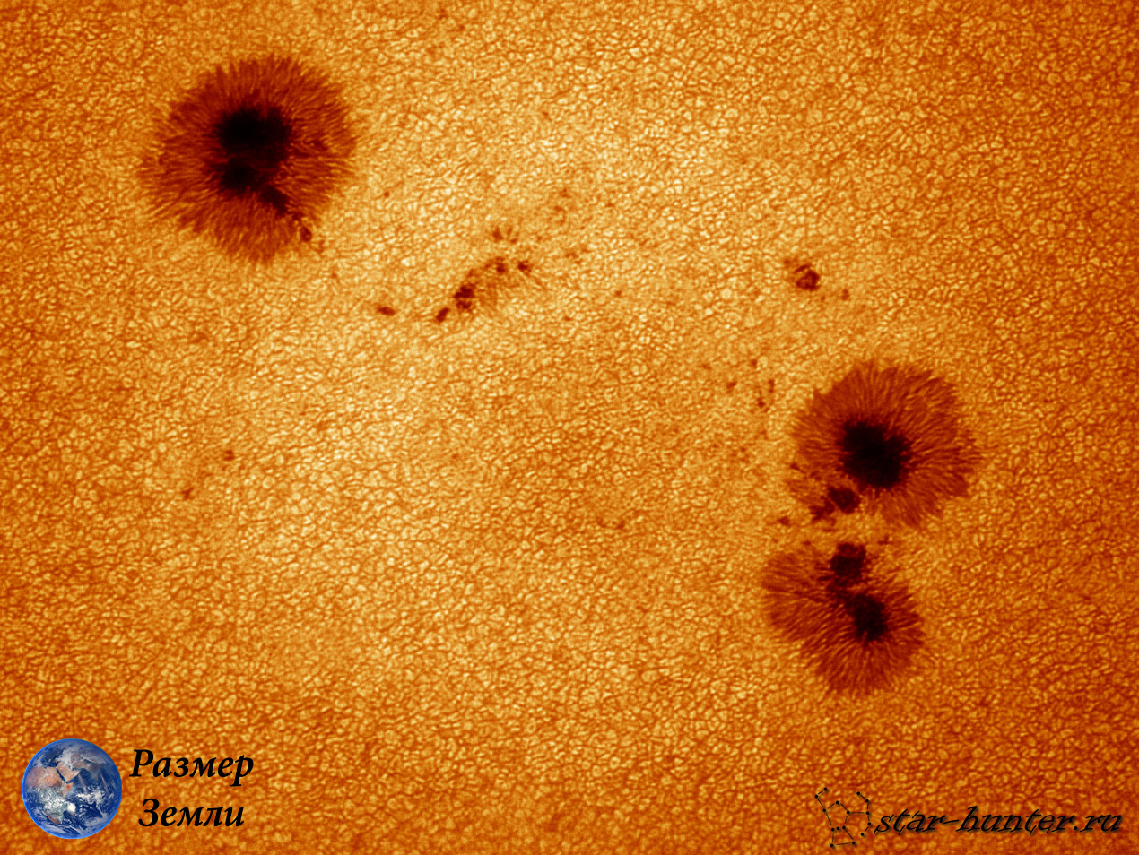 Sunspot AR 12585, September 5, 2016, 10:30 am. - My, The sun, Astronomy, Space, Star, Starhunter, Anapadvor, Video, Longpost