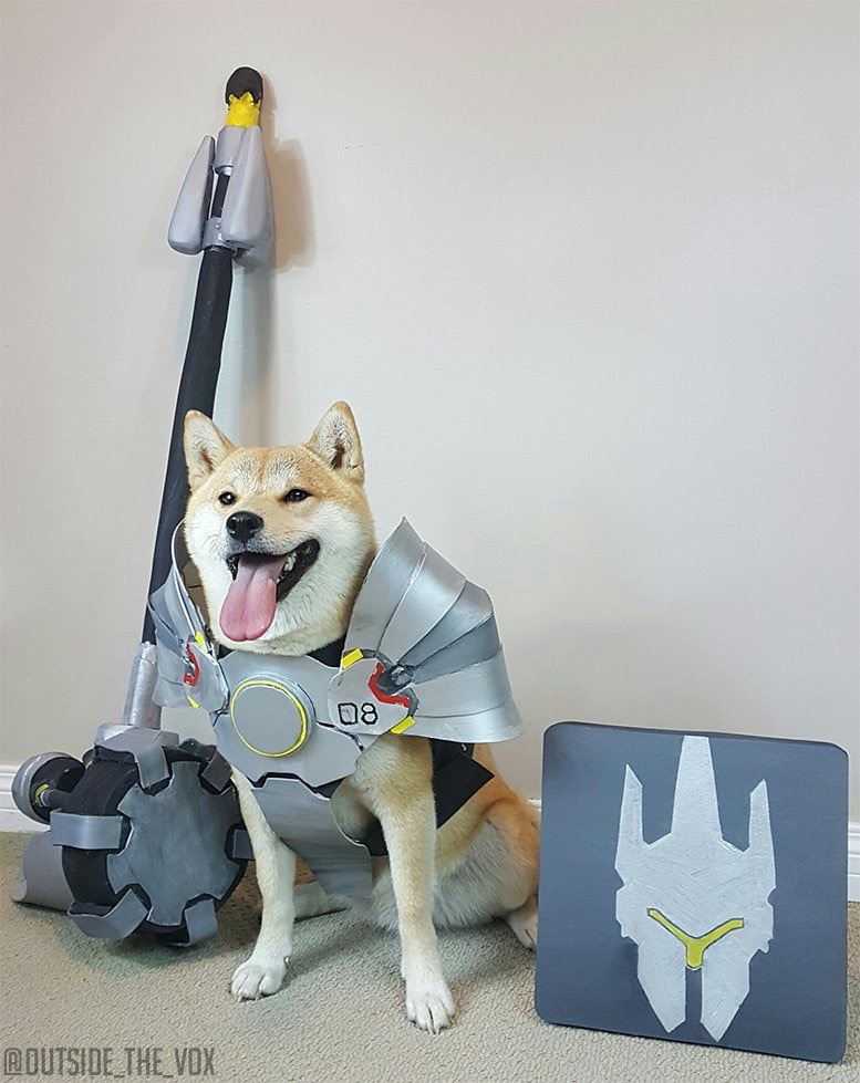 Wow. So hammer - Overwatch, Blizzard, Reinhardt, Cosplay, Dog, Longpost