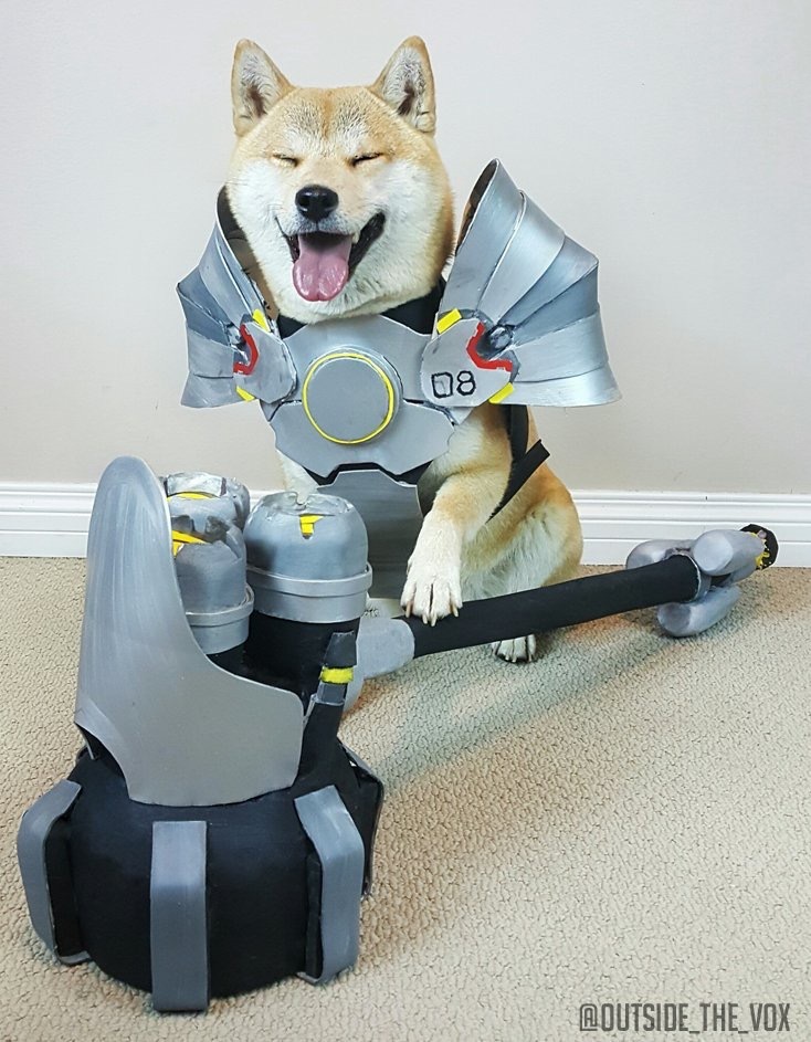 Wow. So hammer - Overwatch, Blizzard, Reinhardt, Cosplay, Dog, Longpost