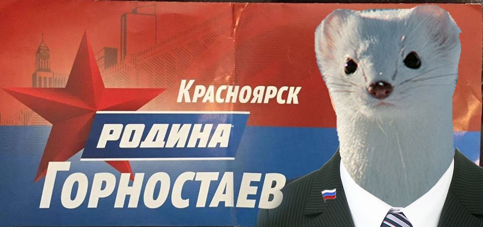 Elections, elections ... - Elections, Krasnoyarsk, Politics, Animals