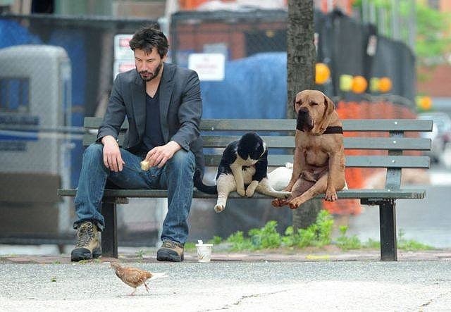 The Bremen Town Musicians of Our Days. - Keanu Reeves, Musicians, Humor, Honestly stolen