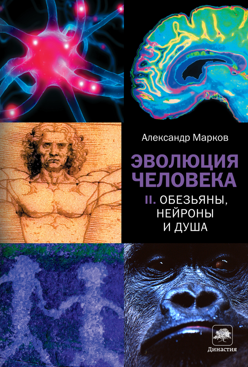 Alexander Markov. - Alexander Markov, Anthropogenesis, Evolution, Person, Primates, Books, Nauchpop, Longpost