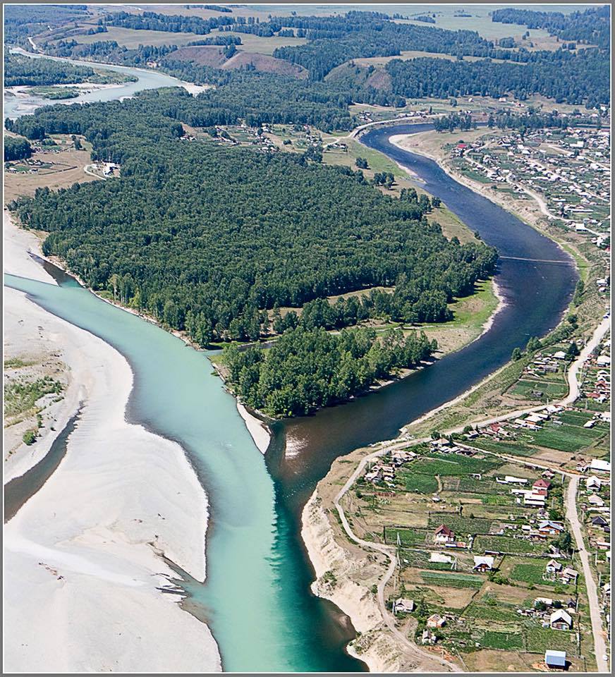 Confluence of the rivers Koksa and Katun. - Nature, Russia, Altai, River, Altai Republic