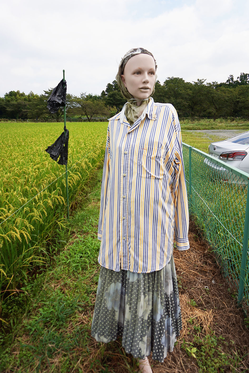 Before coming to Japan, I thought that these were our terrible scarecrows. - My, Japan, Scarecrow, Fear, Photo, Longpost