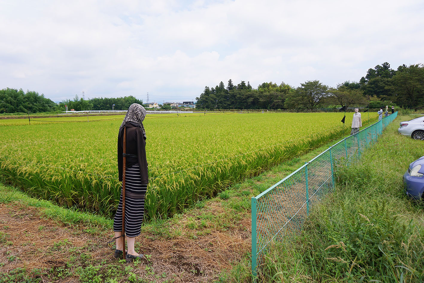 Before coming to Japan, I thought that these were our terrible scarecrows. - My, Japan, Scarecrow, Fear, Photo, Longpost