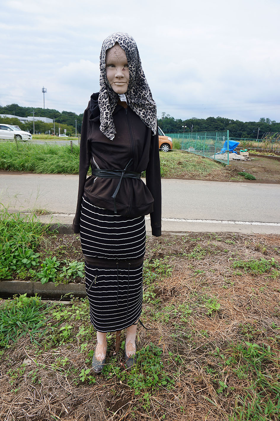 Before coming to Japan, I thought that these were our terrible scarecrows. - My, Japan, Scarecrow, Fear, Photo, Longpost