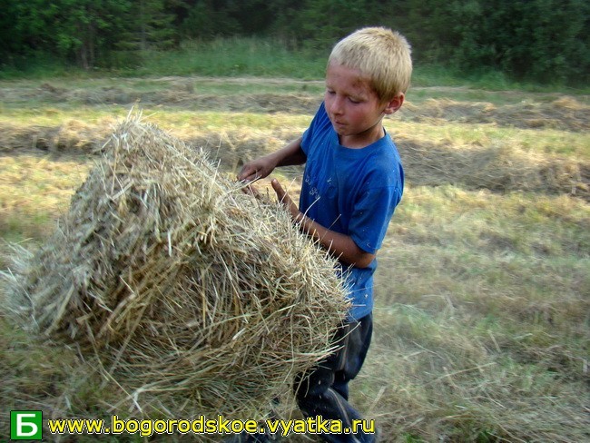 Real Russian men - My, Men, Farmer, Heat, Work, , Russia, Adult children, Children, Longpost, Workplace