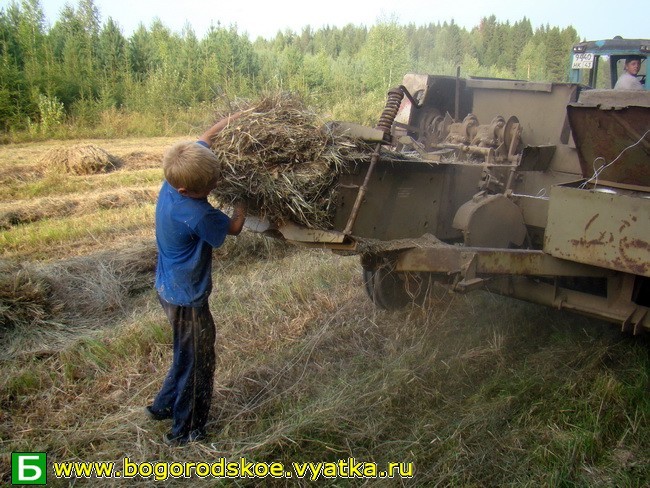 Настоящие русские мужики - Моё, Мужчины, Фермер, Жара, Труд, Не место красит человека, Россия, Взрослые дети, Дети, Длиннопост, Рабочее место