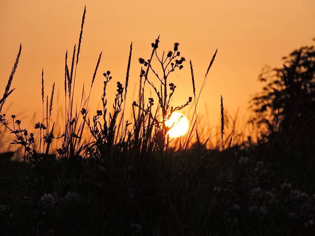 Great photos taken at the right moment - Photo, At the right moment, beauty of nature, beauty, Town, Longpost, Lucky moment