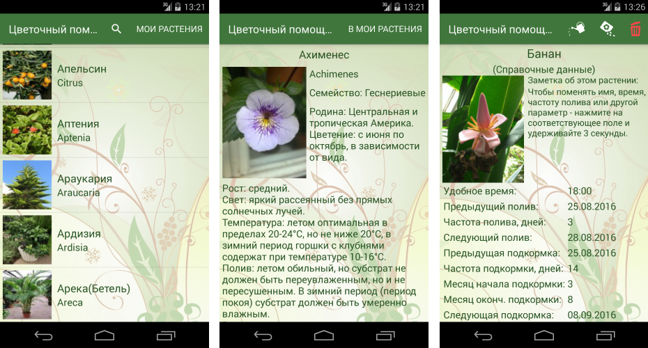 An application that helps in the care of flowers. - My, Android, Android development, Appendix, Assistant, , Flowers, Watering, Feeding, Longpost