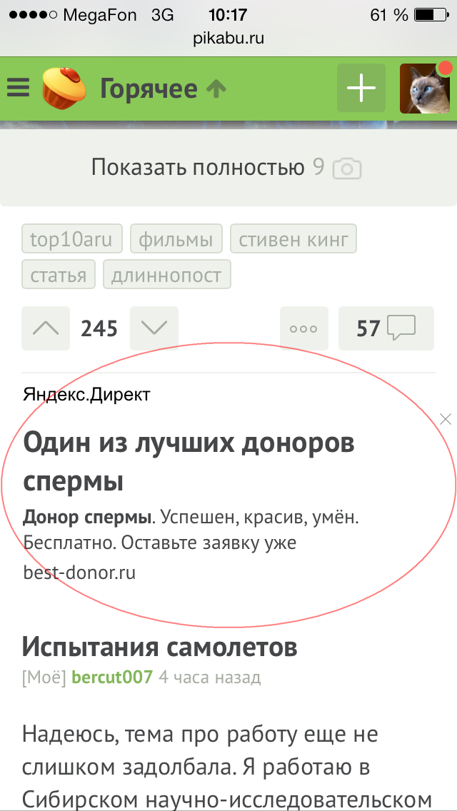 Половые проблемы Яндекс.Директа - Моё, Сперма, Яндекс, Реклама, Контекстная реклама, Скриншот