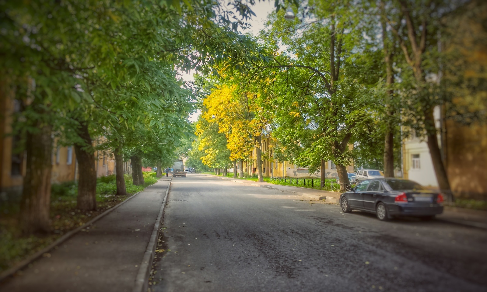 Early autumn - My, Autumn, Saint Petersburg, Photo