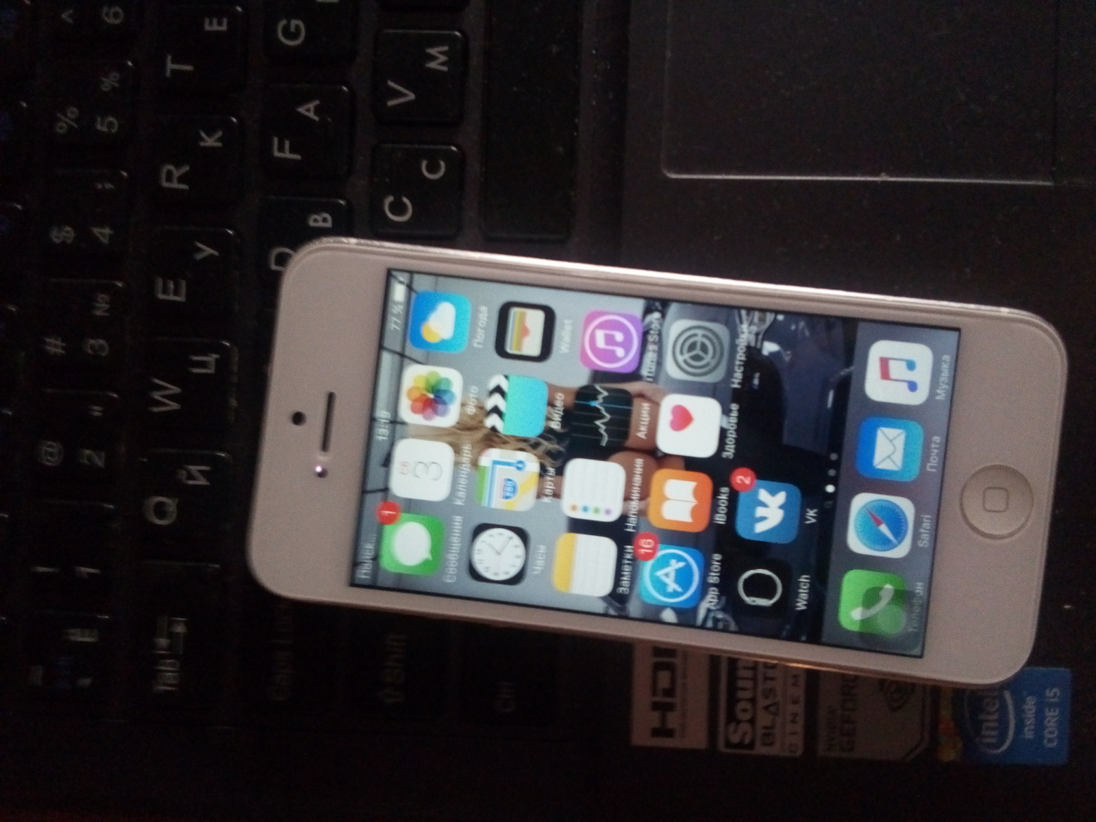 How I changed the display module on iphone 5 for the first time - My, iPhone 5, Repair of equipment, First time, Bolt, Longpost