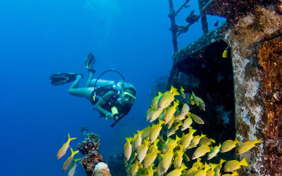 Shipwrecks - Photo, Sunken ships, Longpost