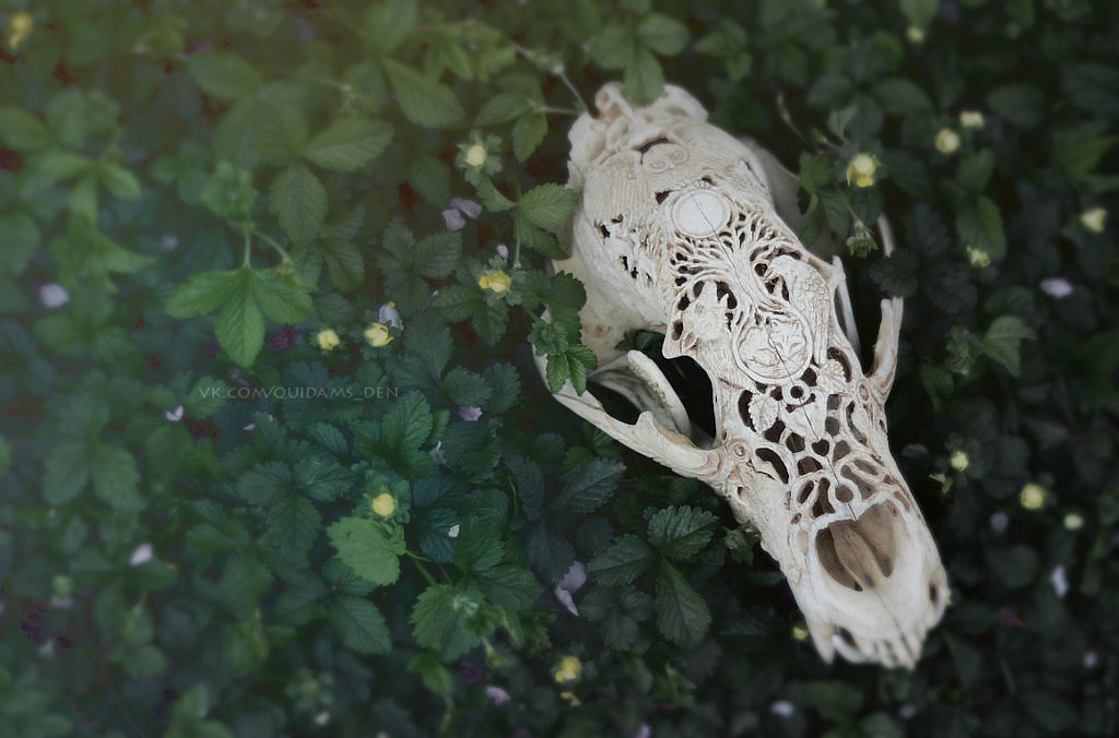 Guardian of the Forest | Bear skull carving - My, Scull, Creation, The Bears, Forest, Needlework, Thread, Nature, , Longpost