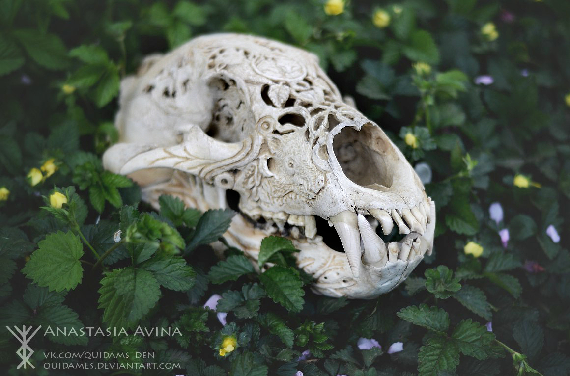 Guardian of the Forest | Bear skull carving - My, Scull, Creation, The Bears, Forest, Needlework, Thread, Nature, , Longpost