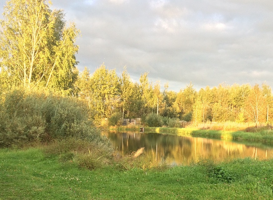 Pond at the house - , My, Pond