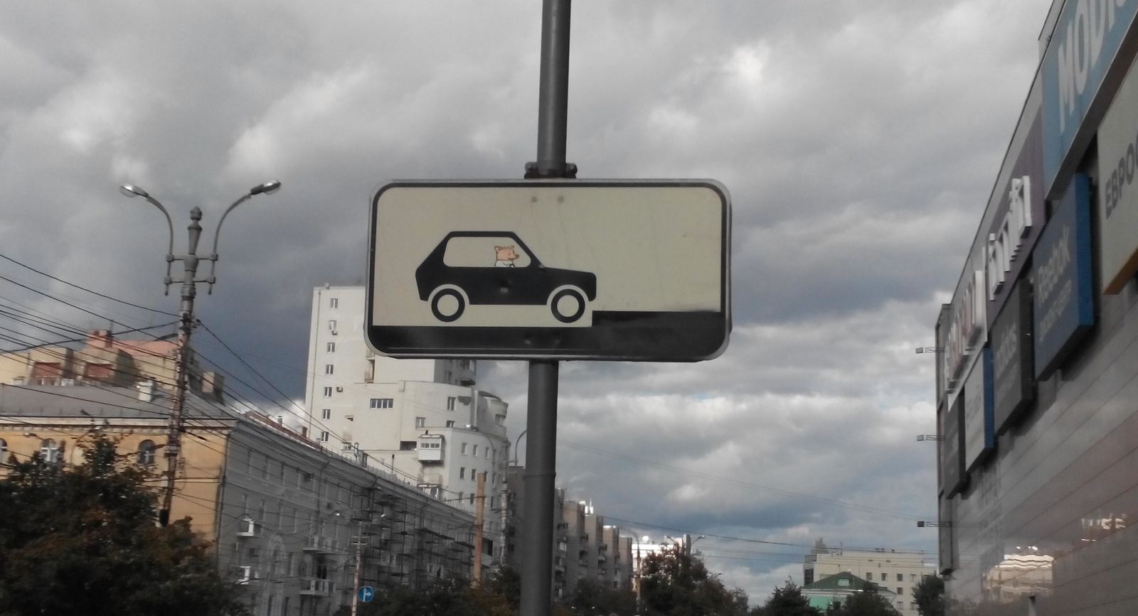 Vandalism in Voronezh =) - Parking, Piglet Peter, Road sign