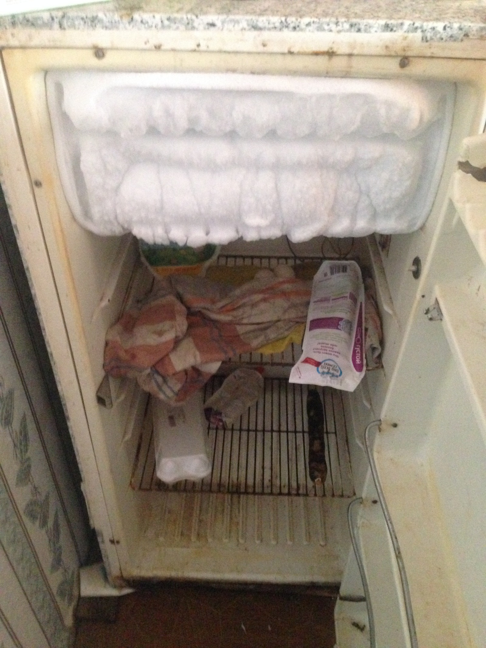 Refrigerator in the hostel - My, Refrigerator, Dormitory, Food, Ice