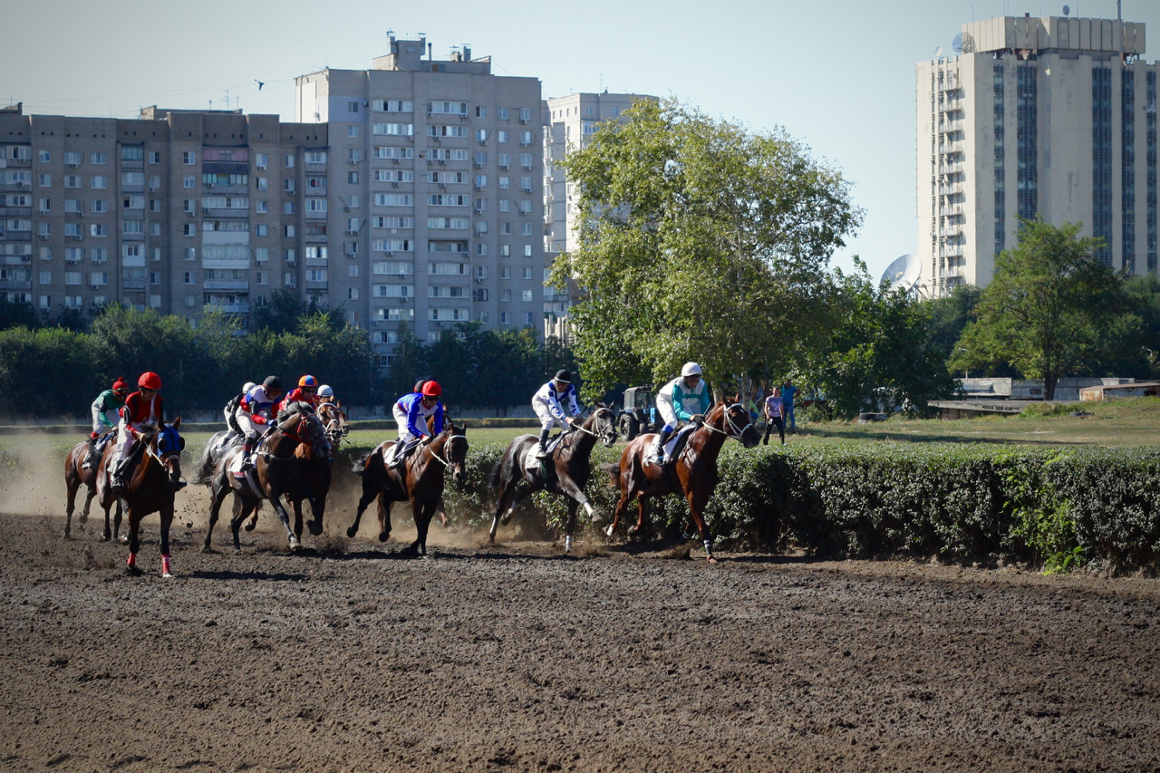 Races for the Governor's Cup in Rostov-on-Don - My, Horses, Horse racing, Rostov-on-Don, Governor's Cup, Photo, Longpost