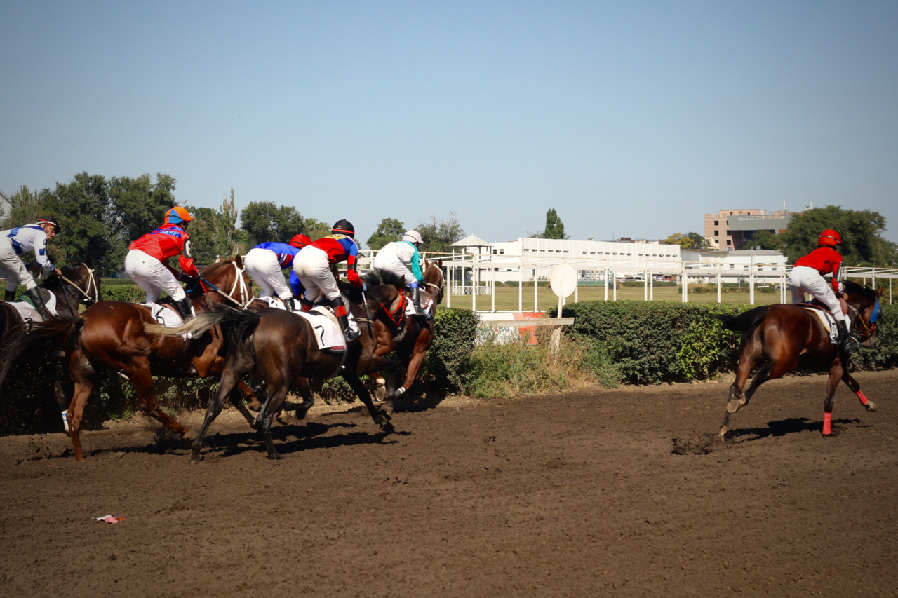 Races for the Governor's Cup in Rostov-on-Don - My, Horses, Horse racing, Rostov-on-Don, Governor's Cup, Photo, Longpost