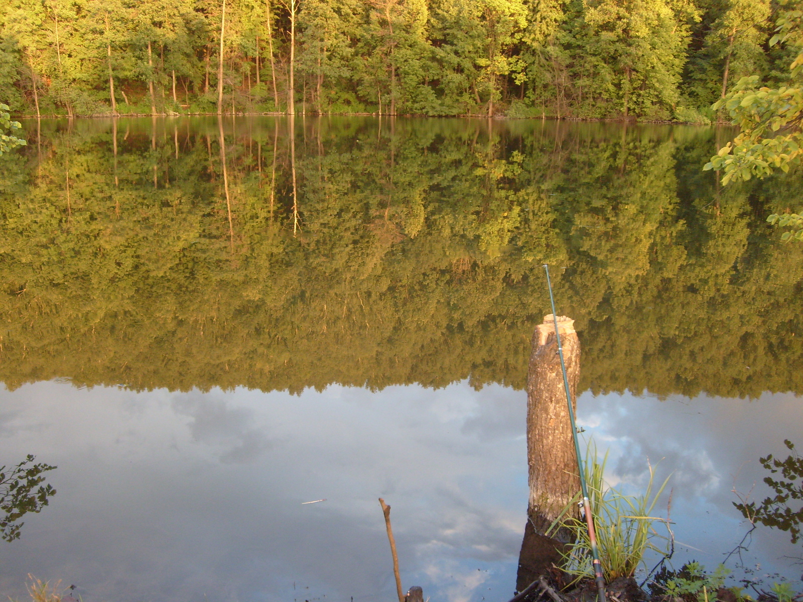 All the pictures are posted, but am I bald, or what? - Photo, Lake, Fishing rod