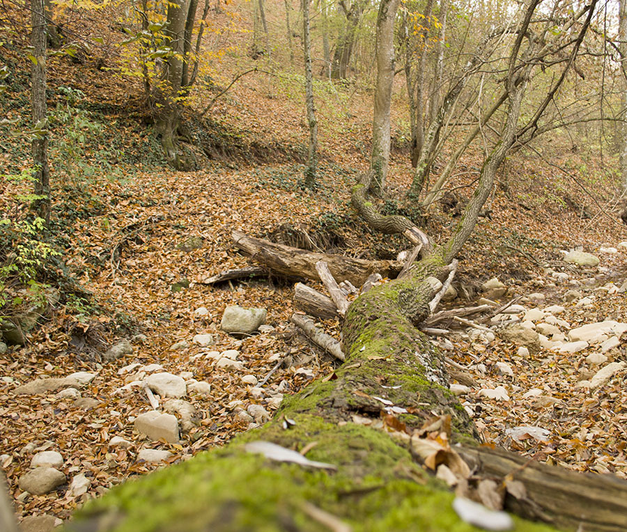 Kurlyuk Bash - My, , Tourism, Hike, Crimea, Hiking, Longpost