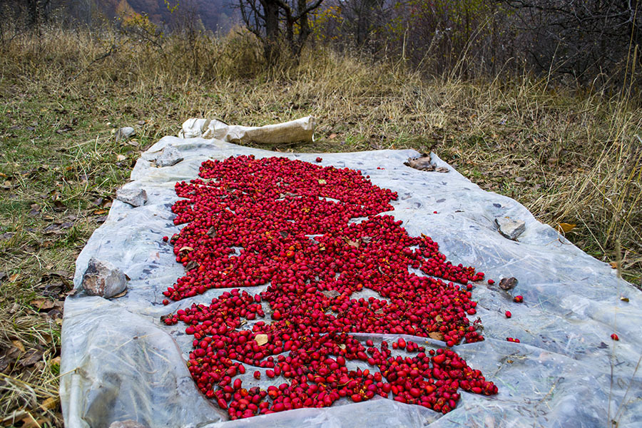 Kurlyuk Bash - My, , Tourism, Hike, Crimea, Hiking, Longpost