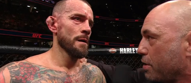 Famous wrestler CM PUNK tried his hand at the UFC - WWE, Ufc, , The fight, Ears