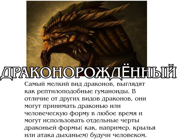 Драконов пост | Пикабу