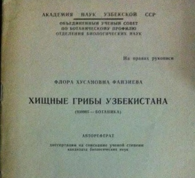 В Узбекистане в лес не ходят - Узбекистан, Грибы