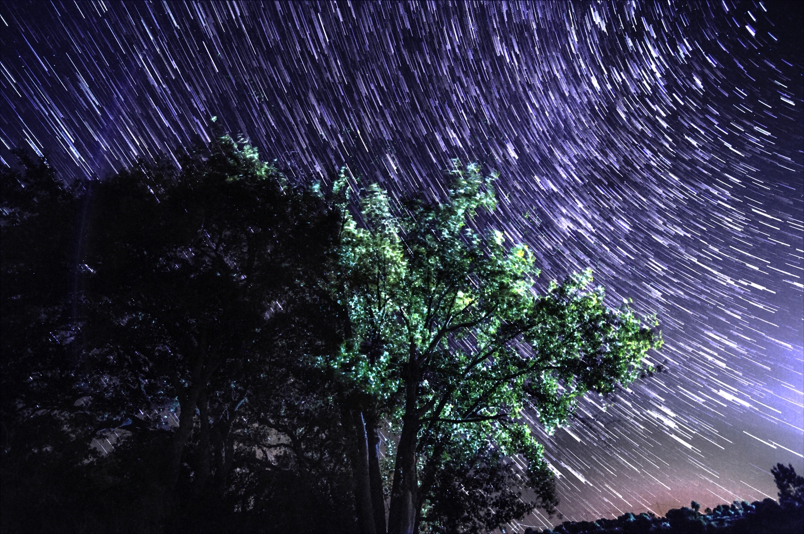 Star Treks - My, A fish, Fishing, Stars, Sky, Lake, Portugal, Crayfish, Nature, Longpost, Stars