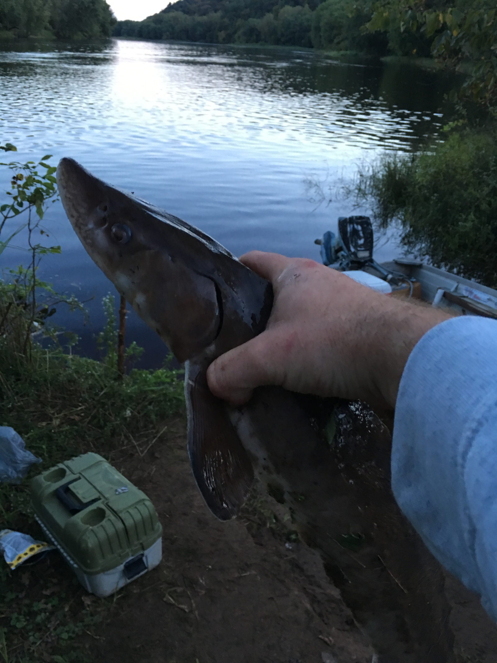 Рыбалка на Saint crouix river minnesota - Моё, Первый пост, Рыбалка, Длиннопост