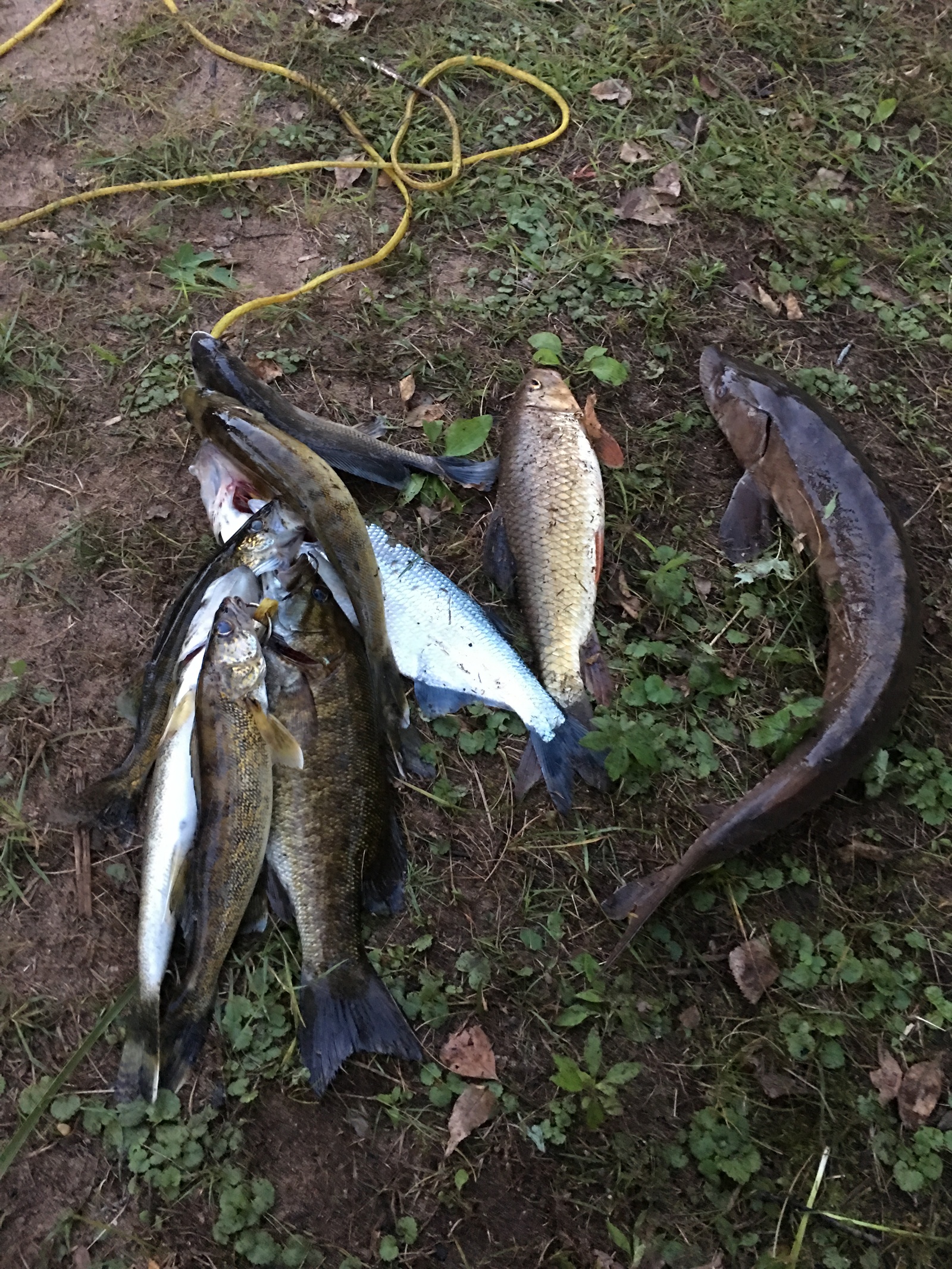 Рыбалка на Saint crouix river minnesota - Моё, Первый пост, Рыбалка, Длиннопост