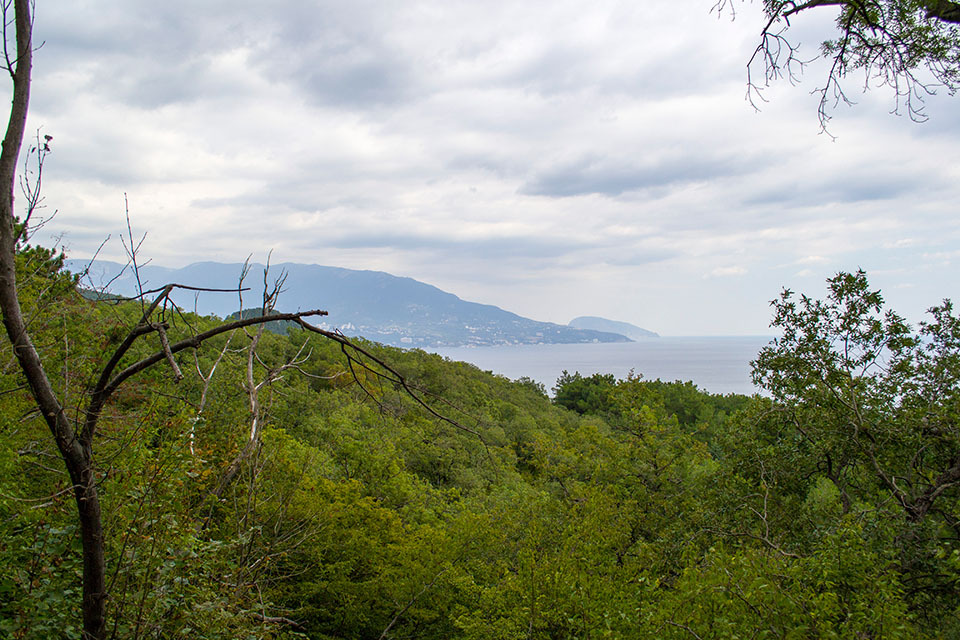 Along the Solar Path. Crimea. PVD. - My, Crimea, Livadia, Hike, , Tourism, Photo, Yalta, Hiking, Longpost