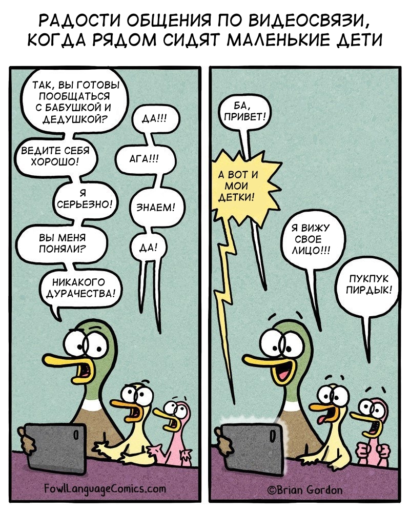 VIDEO CONFERENCE - Fowllanguagecomics, Comics