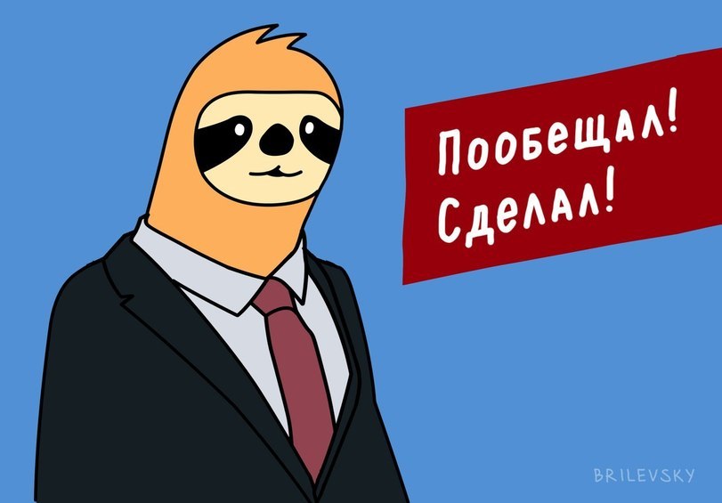 Our candidate! - Elections, Candidates, Brilevsky, Sloth, Longpost, Politics